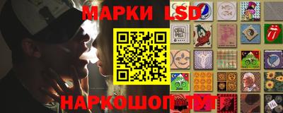 стафф Гусев