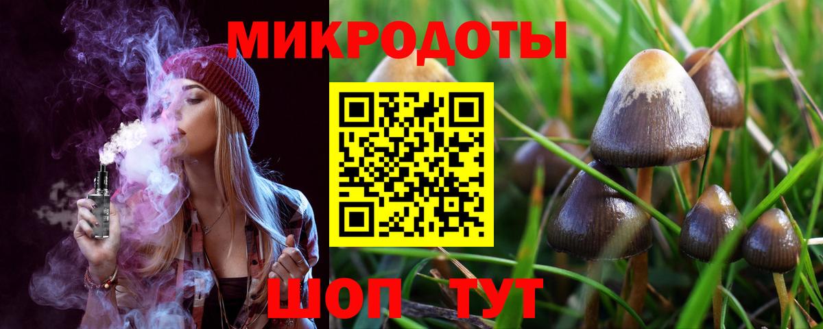 Галлюциногенные грибы мухоморы Минеральные Воды